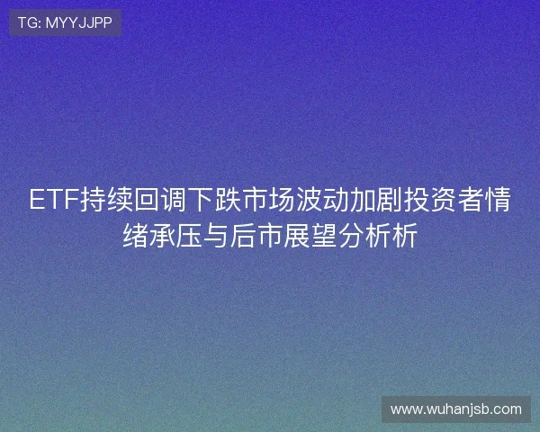 ETF持续回调下跌市场波动加剧投资者情绪承压与后市展望分析析